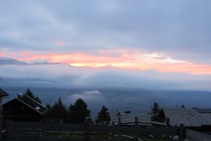 IMG_3406