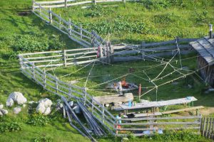 IMG_3471