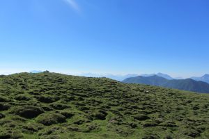 IMG_3544
