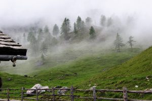 Nebelschwaden auf der magischen Alm. Auch hier greifen wir auf die Traumdeutung zurück