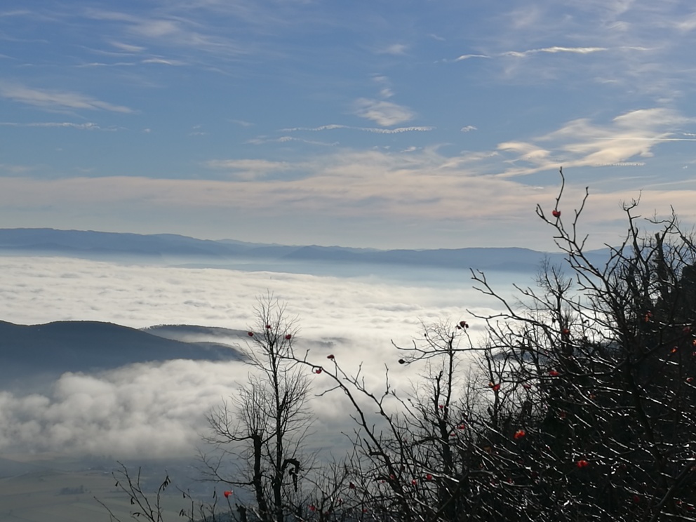 IMG_20171226_125840_resized_20180115_102343638