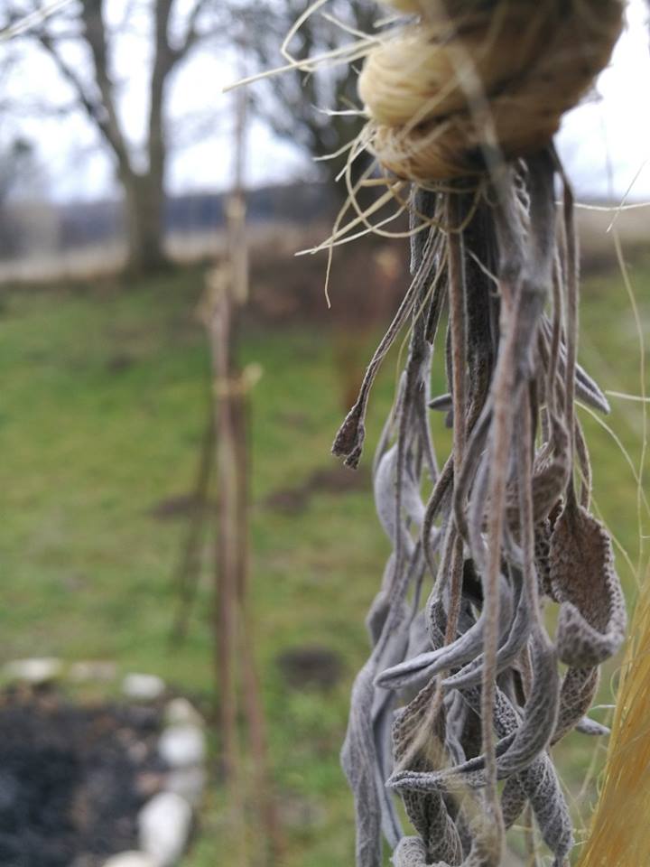 Imbolc-Ritual-schamanismus-Niederoesterreich