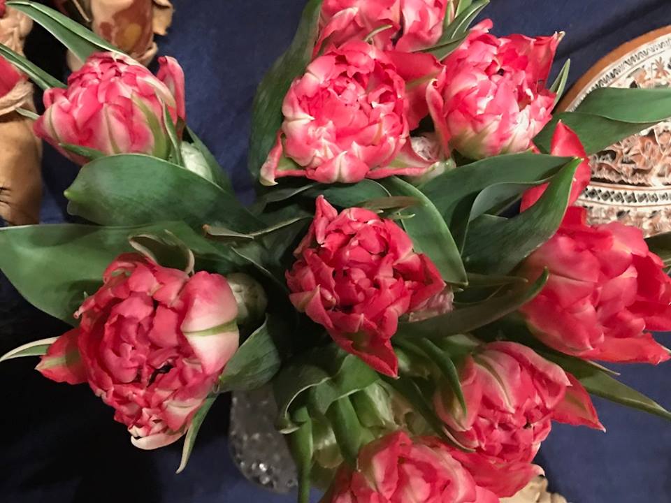 Schamanischer-Altar-Blumen-Kraefte-des-Kosmos