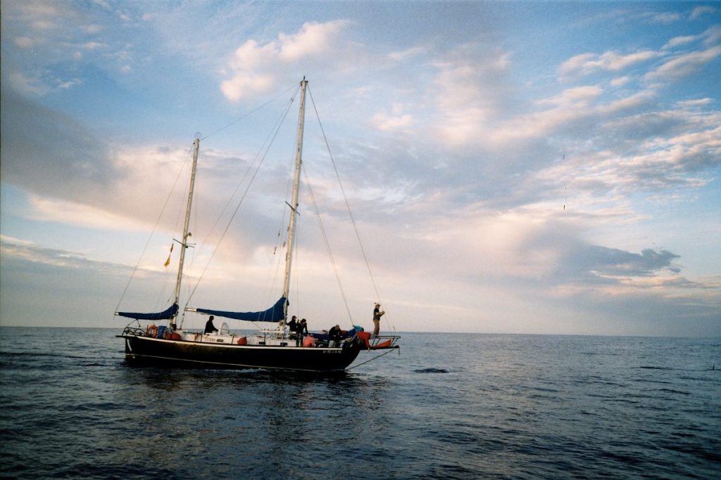 Schamane und Delphin, eine Begegnung ekstatischer Art.