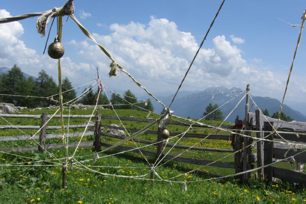 Unser magisches Feennetz auf der Alm.