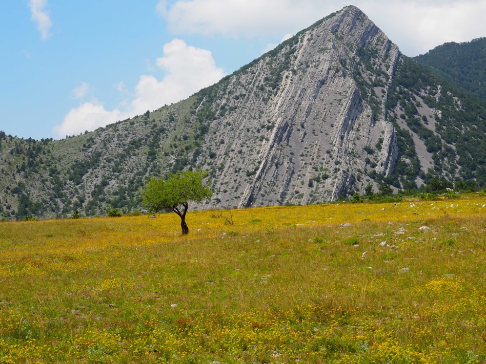 Eine Pyramide auf dem Weg der Schönheit...