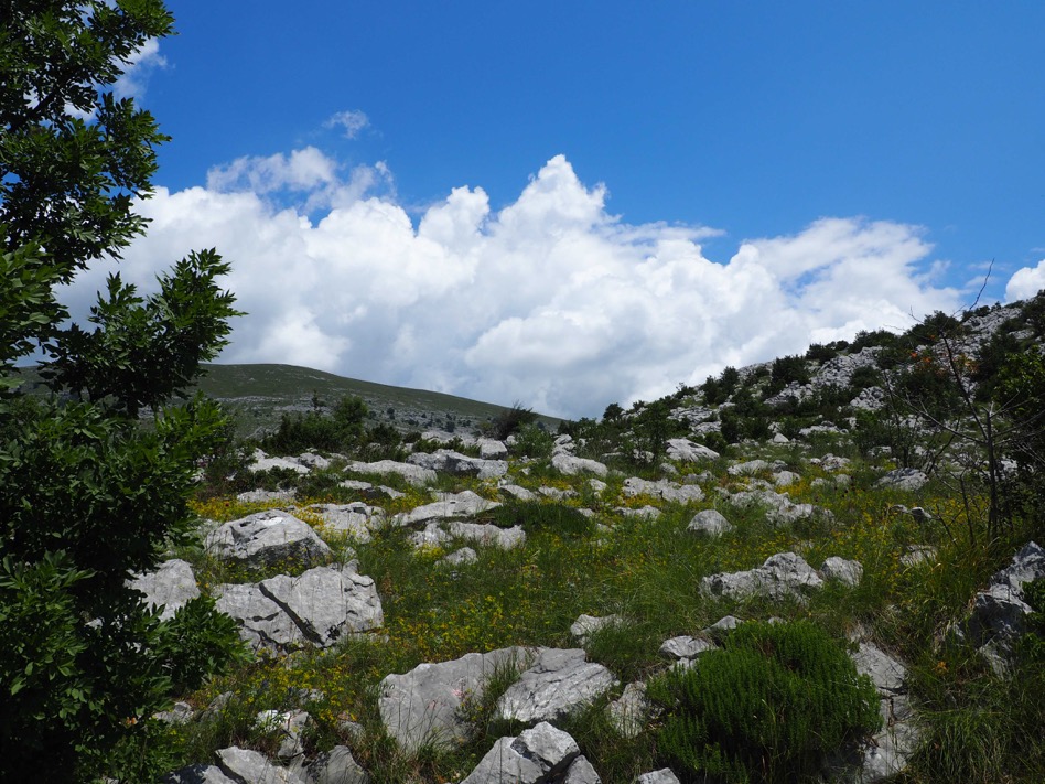 Aufbruch in die Wildnis...