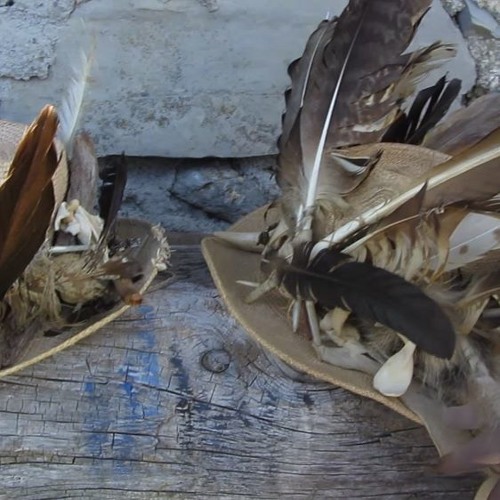 16-JaguargoetterVerwandlungsSchildundLied