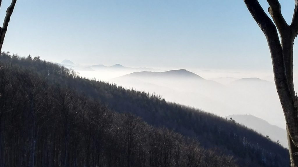 IMG_20170129_145938_1