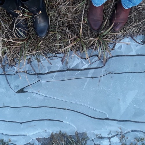 21-DieKraftDurchstroemtAlles-auf-ekstaischeweise