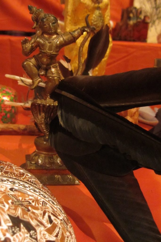 Bild des Monats - rotorangeTrance