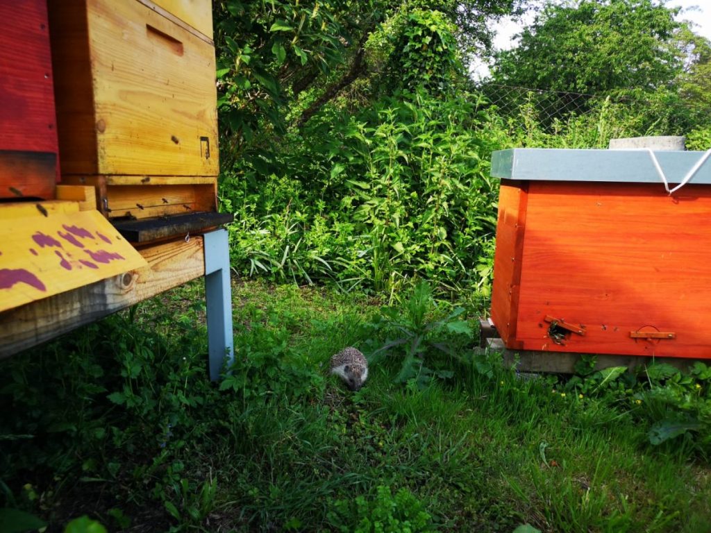 a35d681b-41fc-434f-92b6-399b719dac58