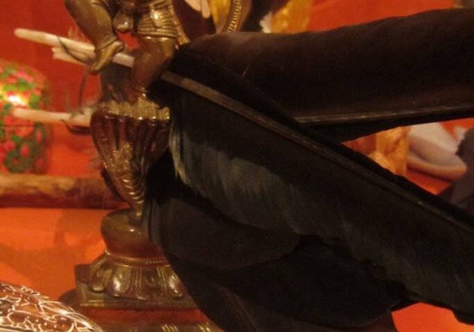 Bild des Monats - rotorangeTrance