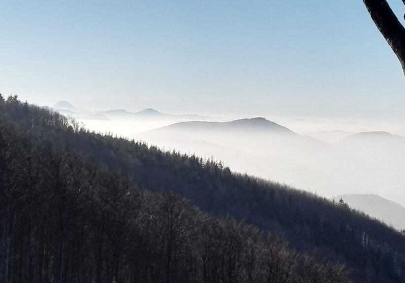 IMG_20170129_145938_1