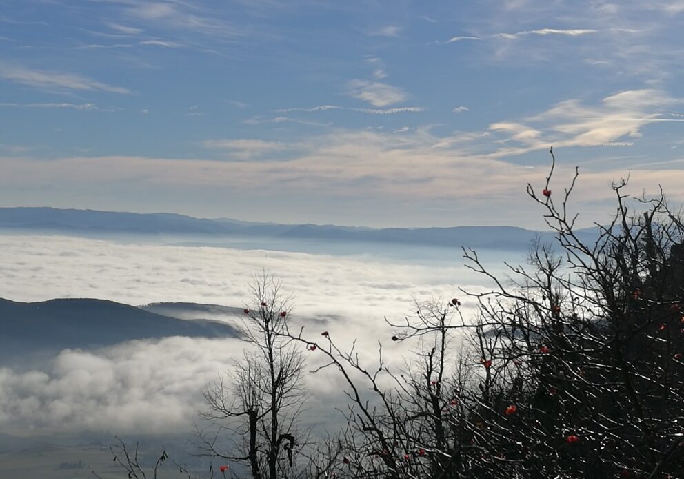 IMG_20171226_125840_resized_20180115_102343638