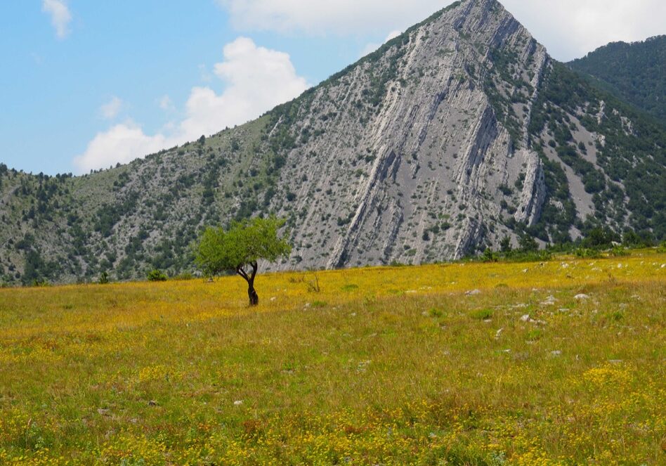 Eine Pyramide auf dem Weg der Schönheit...