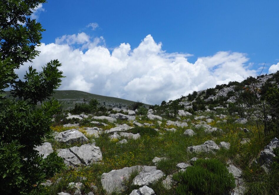 Aufbruch in die Wildnis...