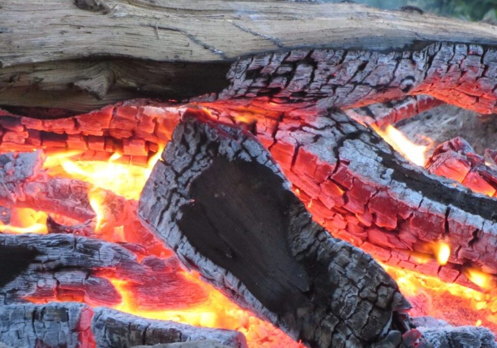 Feuerblumen im Jaguarfeuer.