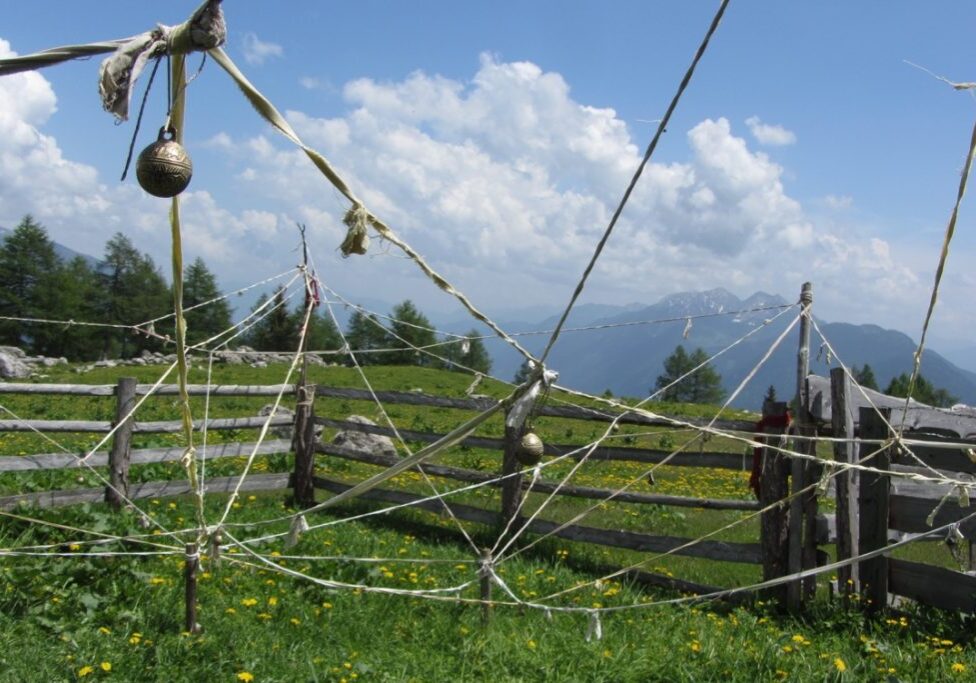 Unser magisches Feennetz auf der Alm.