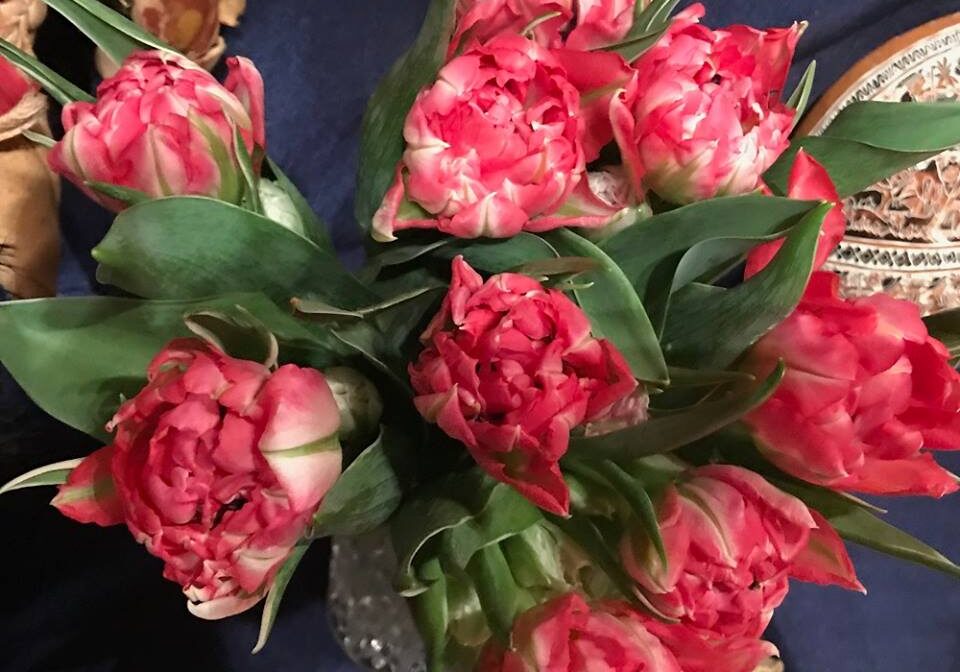 Schamanischer-Altar-Blumen-Kraefte-des-Kosmos