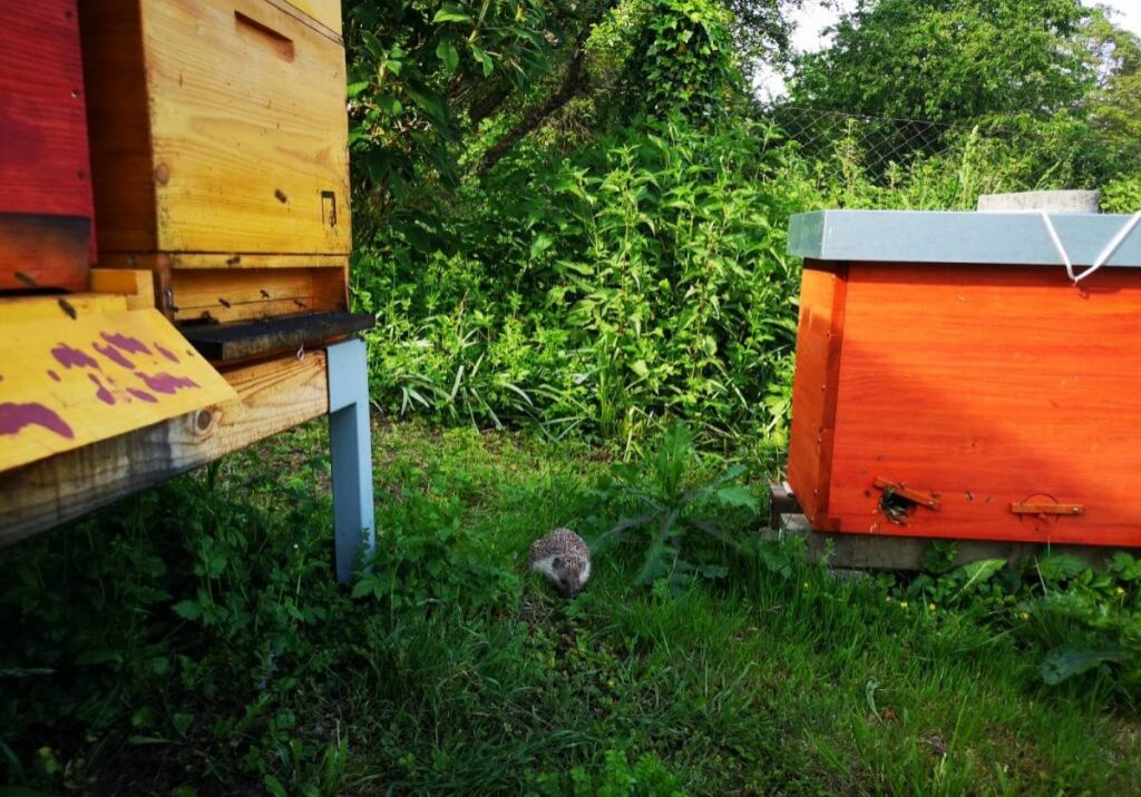 a35d681b-41fc-434f-92b6-399b719dac58