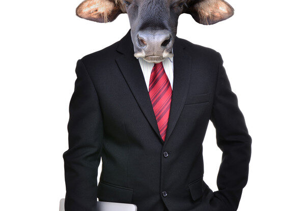 canstockphoto25434664